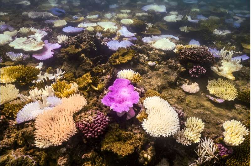 Great Barrier Reef Bleaching: A Critical Status Update