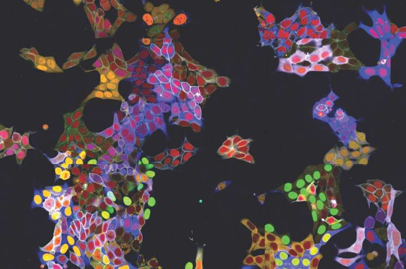 Simultaneous Protein Labeling in Living Cells with Novel Fluorescence Microscopy