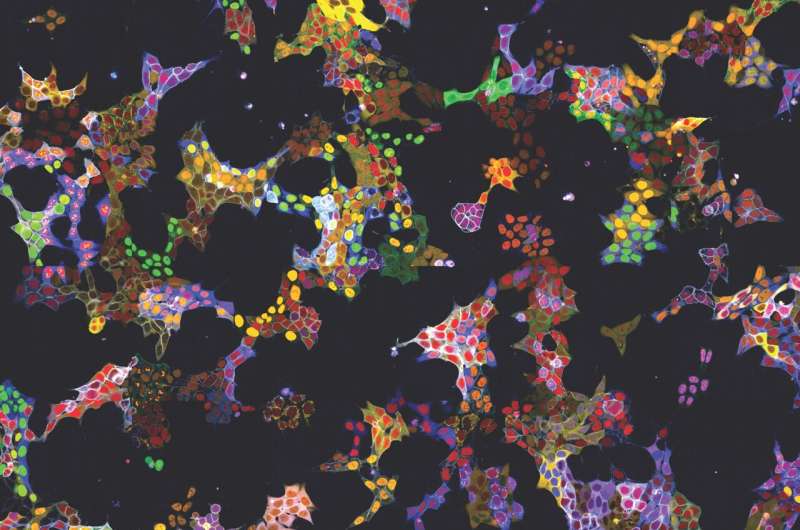 Simultaneous Protein Labeling in Living Cells with Novel Fluorescence Microscopy