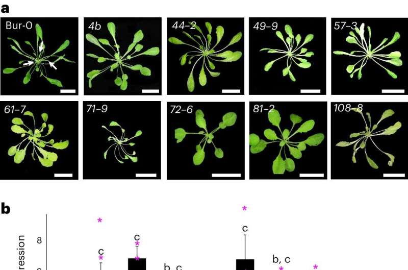 RdDM: A Key Player in Gene Silencing – Implications for Plant Growth & Human Health