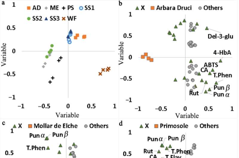 Pomegranate Peel: A Sustainable Source of Antimicrobial Compounds
