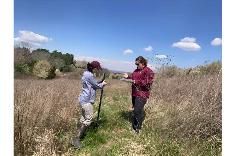 Monitoring Ecosystem Shifts: How Sound Reveals Environmental Change