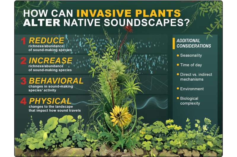 Monitoring Ecosystem Shifts: How Sound Reveals Environmental Change