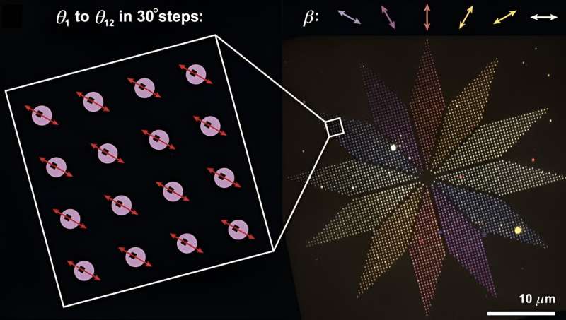 Dynamic Model for DNA Origami Folding: A Polarimeter Example