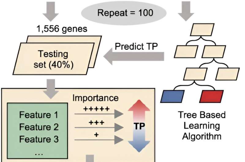 Transcriptional Plasticity in Mycobacterium: A Key to Stress Adaptation