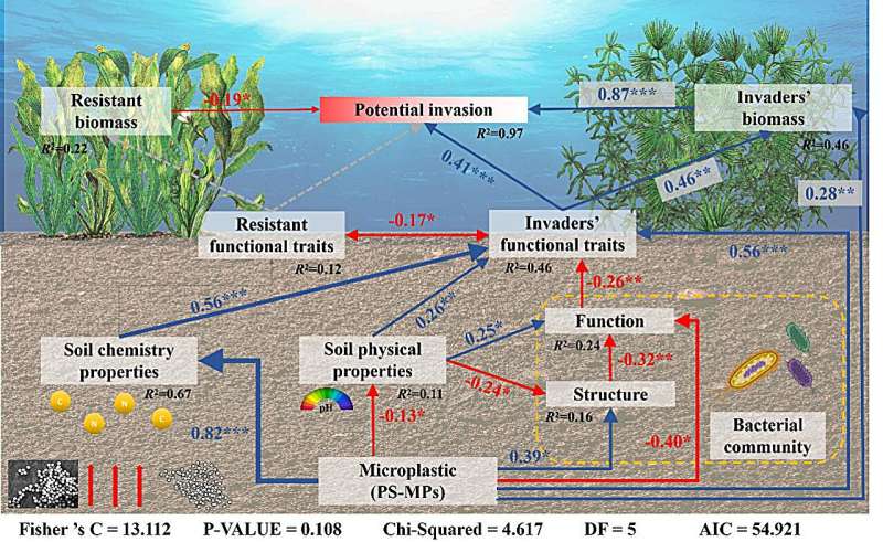 Microplastics & Invasive Aquatic Plants: A Threat to Ecosystems