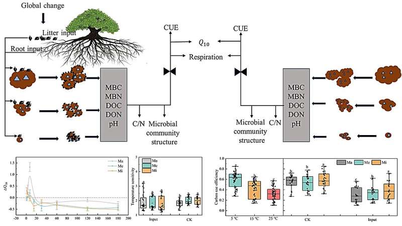 Soil Respiration & Microbial Activity Under Warming: Impact of Organic Matter