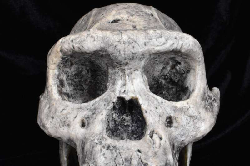 Interspecies Competition & Human Evolution: A New Understanding