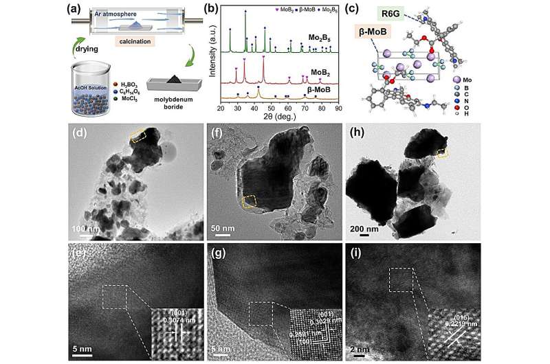 Advanced Molybdenum Boride Ceramics for Robust SERS Detection