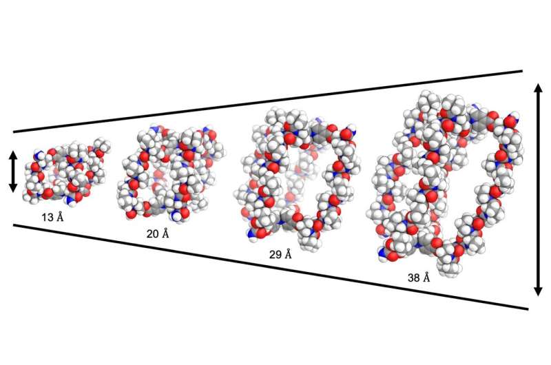 Proline-Based Drug Delivery: A Novel Approach Using Chicken Feather Amino Acids
