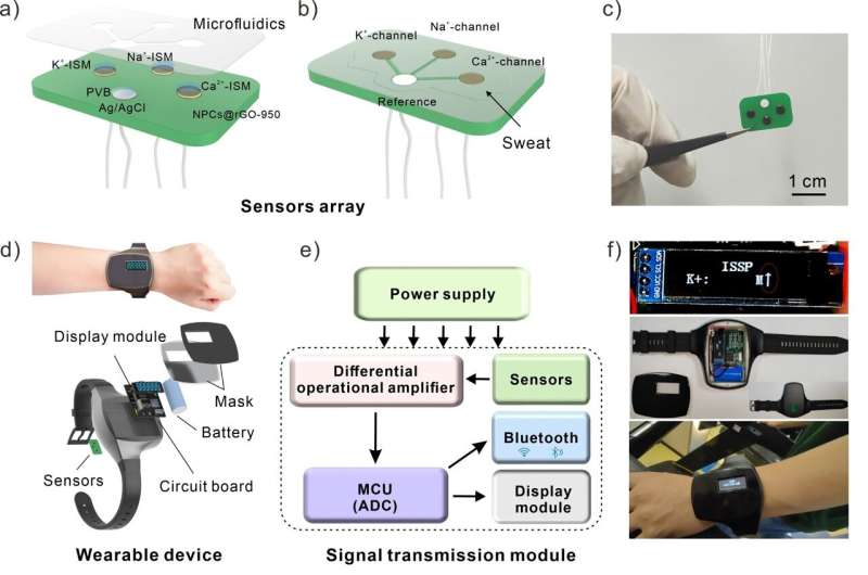 Sweat Sensor Watch: Real-Time Body Chemistry Monitoring Breakthrough