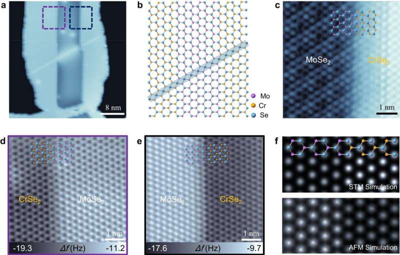 Novel Strategy for Growing 2D Transition Metal Dichalcogenides Unveiled