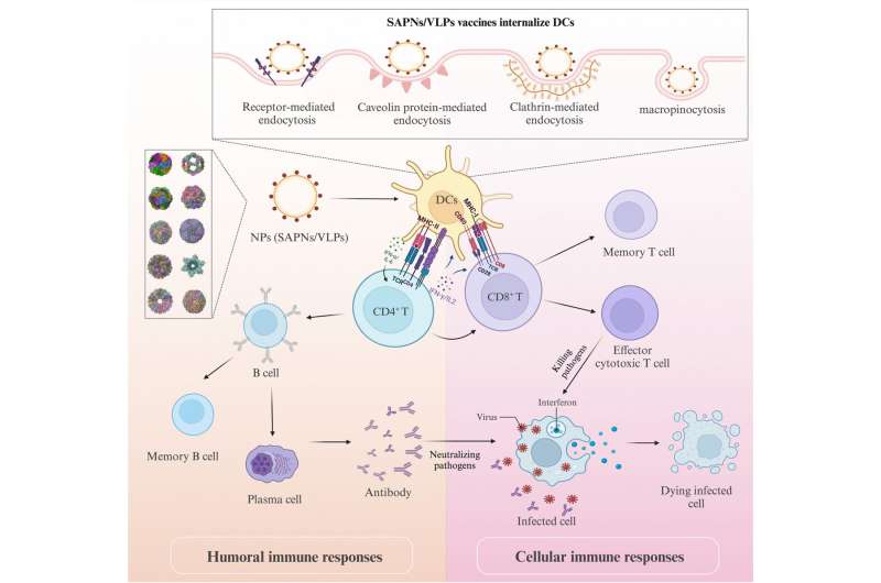 Nanoparticle Vaccines: Advancing Veterinary Immunization