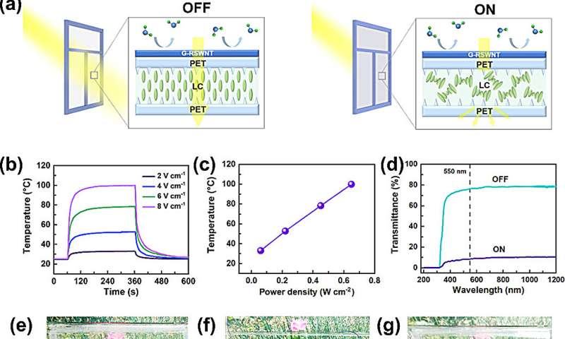 Flexible Carbon Nanofilm Development for Advanced Electronics