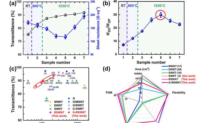 Flexible Carbon Nanofilm Development for Advanced Electronics