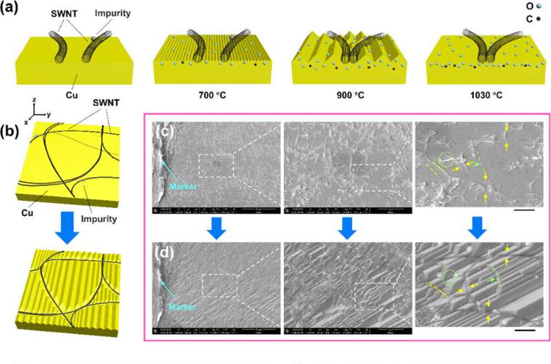 Flexible Carbon Nanofilm Development for Advanced Electronics