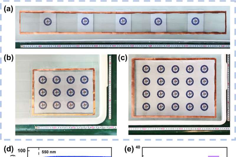 Flexible Carbon Nanofilm Development for Advanced Electronics