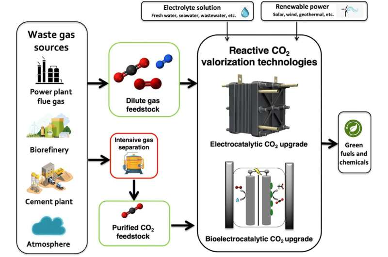Direct CO2 Recycling: Innovative Pathways Beyond Costly Gas Separation