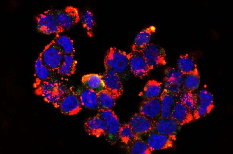 Nanoparticle Breakthrough for Treating Pediatric Brain Cancer