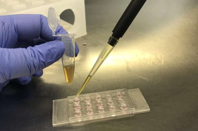 Novel Method Boosts Tissue Repair via Cellular Sulfur Compound Production