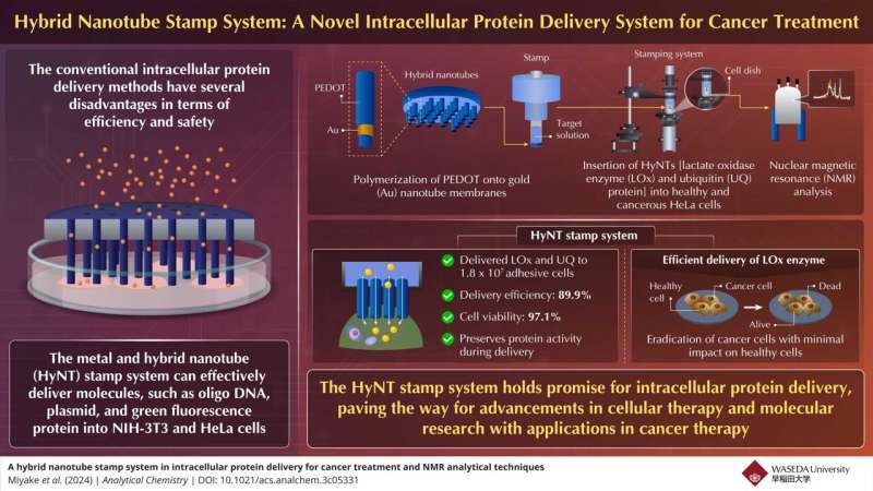 Hybrid Nanotubes for Targeted Cancer Therapy: Enhancing Intracellular Protein Delivery