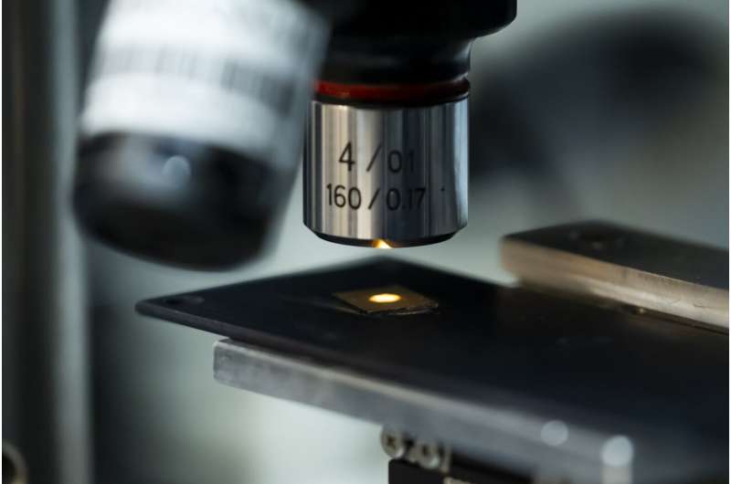 Gold-Enhanced X-ray Imaging: Sharper Images & Faster Scanning