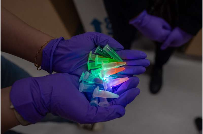 Novel Color Palettes for Enhanced Single-Molecule Imaging