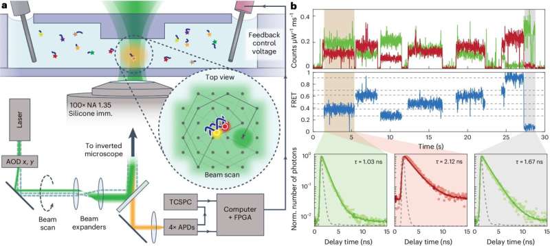 Novel Color Palettes for Enhanced Single-Molecule Imaging