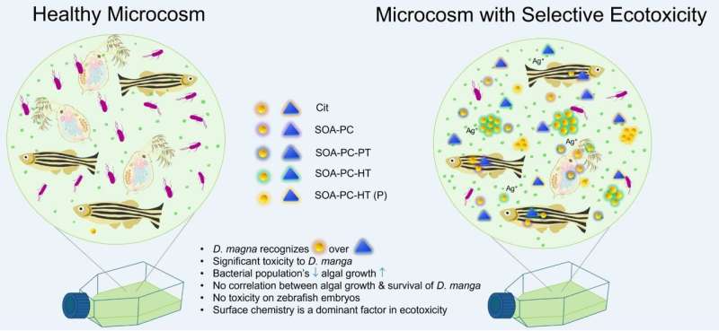 Mitigating Environmental Toxicity of Silver Nanoparticles: A Research Overview