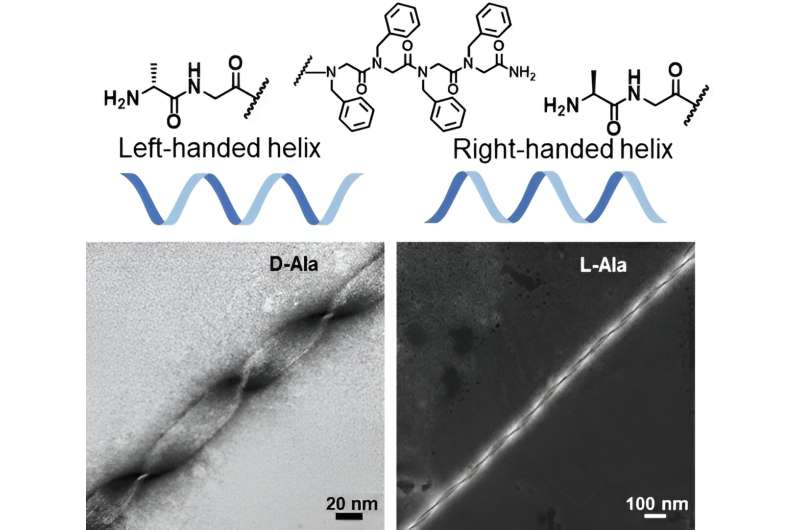 Peptidoid Helices: Biomimetic Design for Advanced Materials
