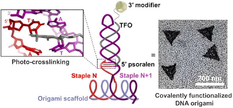 DNA Origami Breakthrough: Revolutionizing Medicine with Advanced Nanostructures