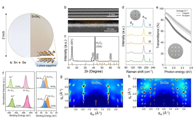 Novel MOCVD Process for Thin Film Tin Selenide Deposition