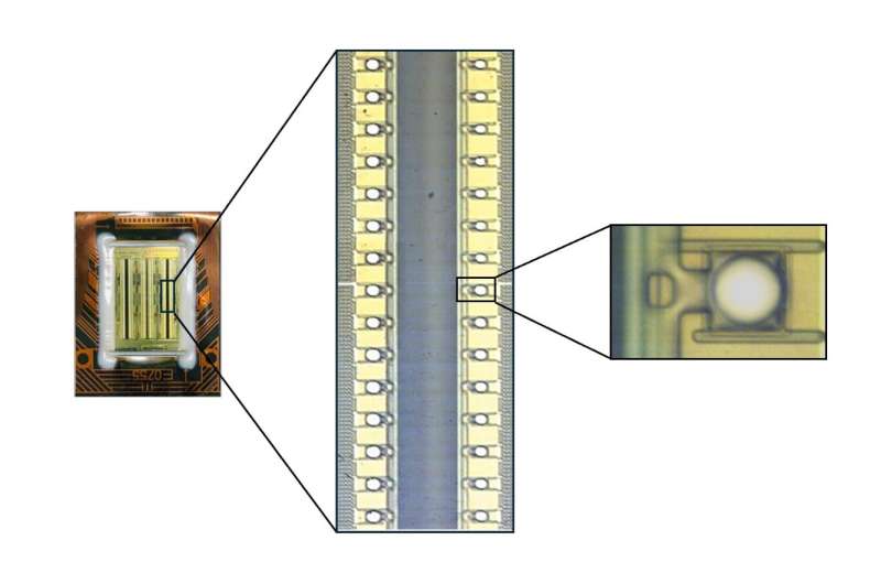 Microfluidic Platform Enhances Gene Therapy Delivery for Lung Diseases