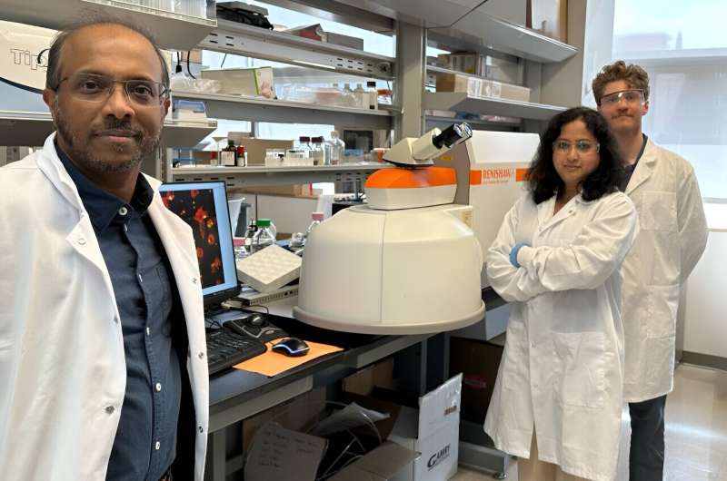 Next-Gen Materials for Advanced Implantable Technology | Nanomedicine Research