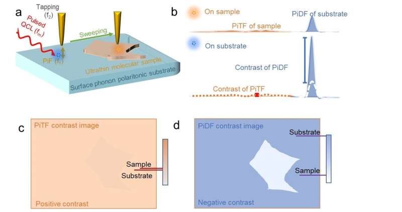 Surface Phonon Polaritons Enhance Photoinduced Dipole Force in Ultrathin Samples