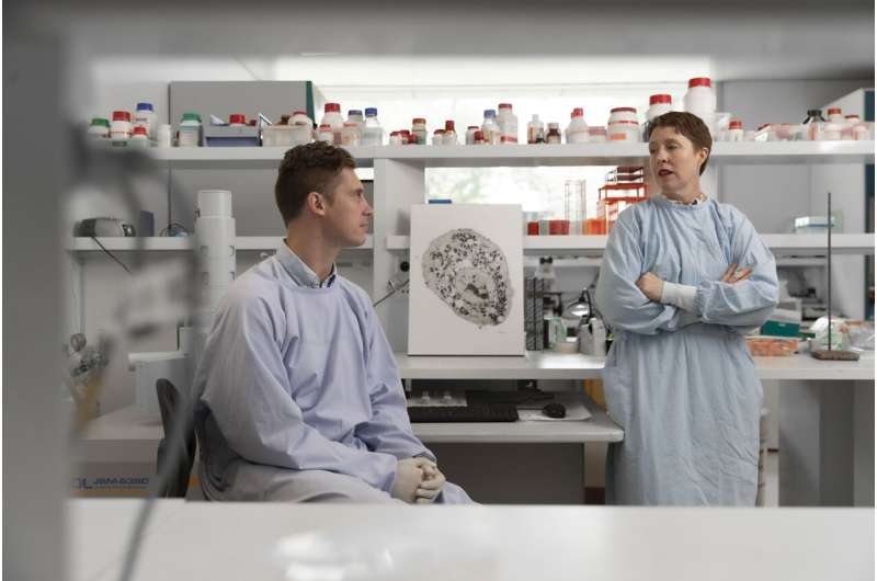 Nanotechnology Breakthrough: Oral Insulin Capsules on the Horizon