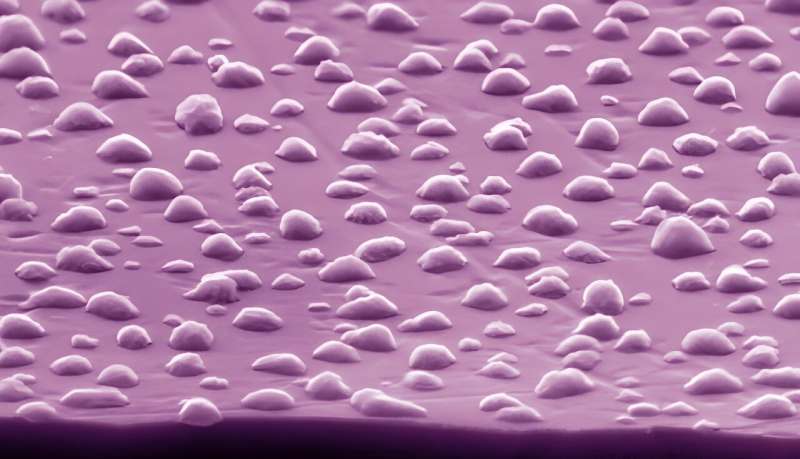 Antimicrobial Copper Nanostructures for Transparent Touch Displays