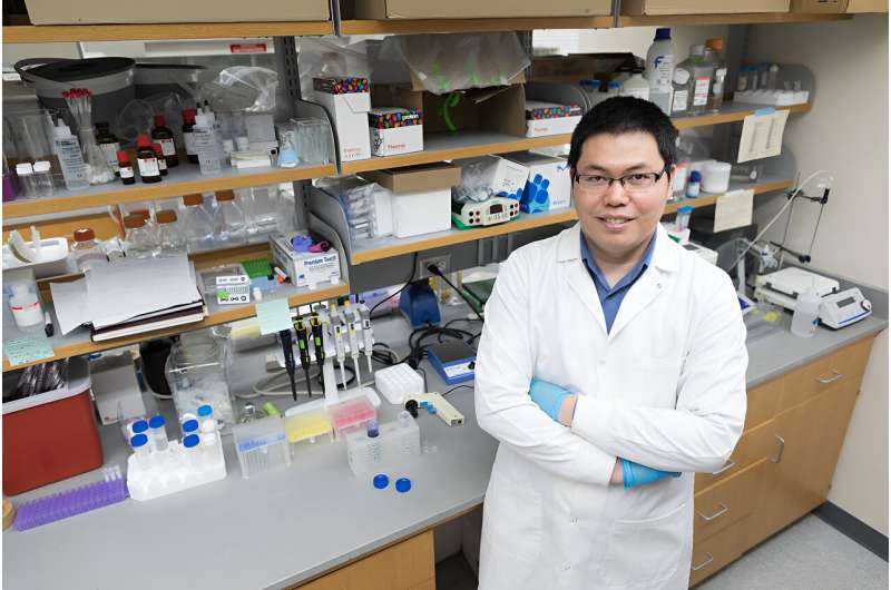 Bacteria-Delivered Nanodrugs Show Promise in Treating Pancreatic Cancer