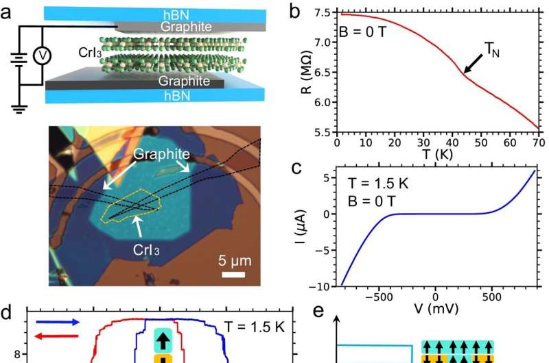 2D Magnetic Devices: A Leap Towards Advanced Computing