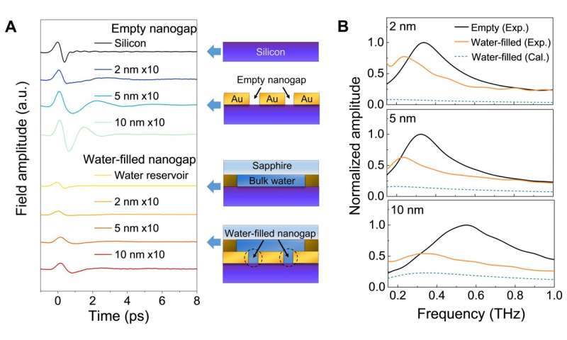 Terahertz Waves Influence Water Molecule Dynamics in Nanoconfinement - Science Advances