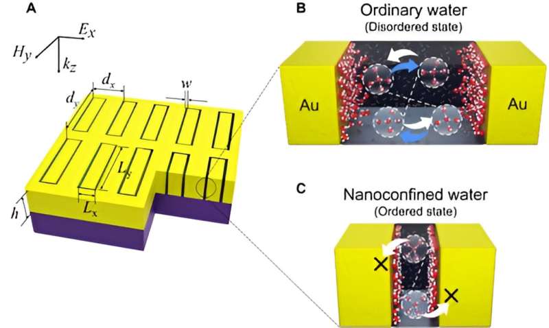 Terahertz Waves Influence Water Molecule Dynamics in Nanoconfinement - Science Advances