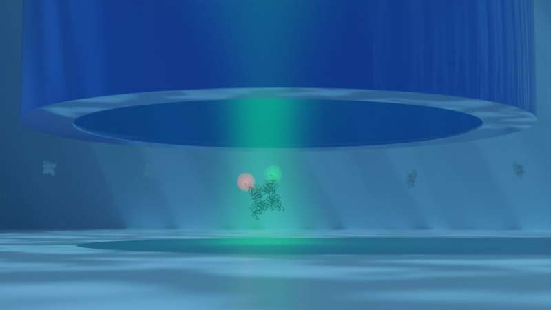 Optofluidic Antennas: Tracking Biomolecules with Precision