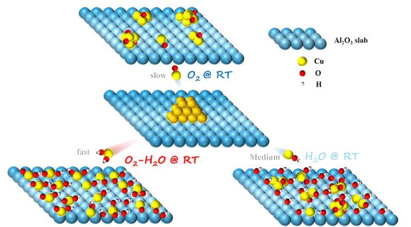Water-Assisted Redispersion of Metal Nanoparticles: A Novel Approach