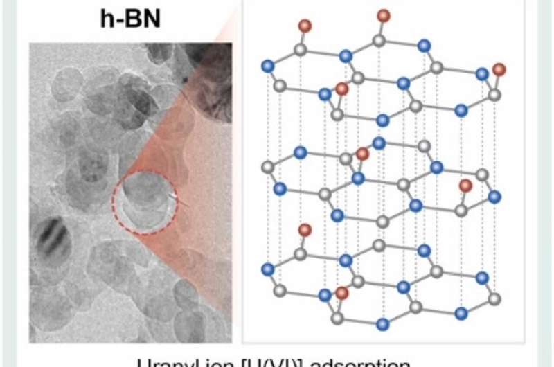 Uranium Soil Remediation: Novel h-BN Material for Sustainable Cleanup