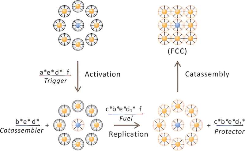 Self-Replicating Nanostructures: Scientists Develop Advanced Synthetic System