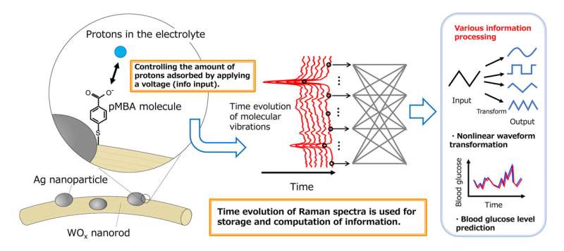 AI Predicts Blood Glucose Levels with High Precision Using Reservoir Computing
