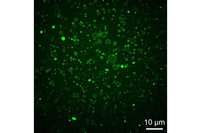 Caterpillar-Inspired Nanocapsules for Targeted Drug Delivery
