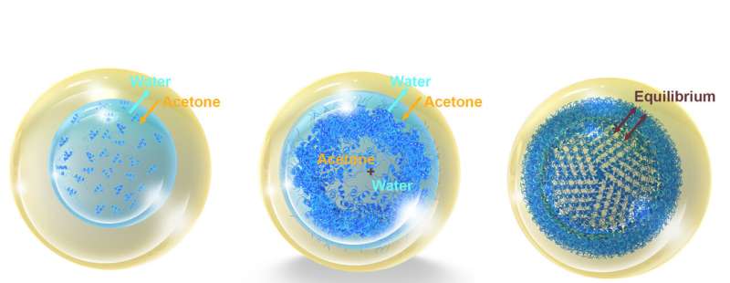 Caterpillar-Inspired Nanocapsules for Targeted Drug Delivery