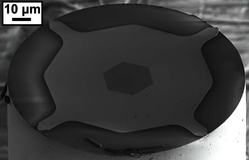 Ultra-Sensitive Photonic Crystal Sensor Detects Single Particles to 50nm