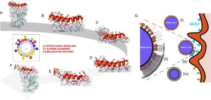 Molecular Masks: Engineering Peptide Inhibitors Against Viral Pathogens